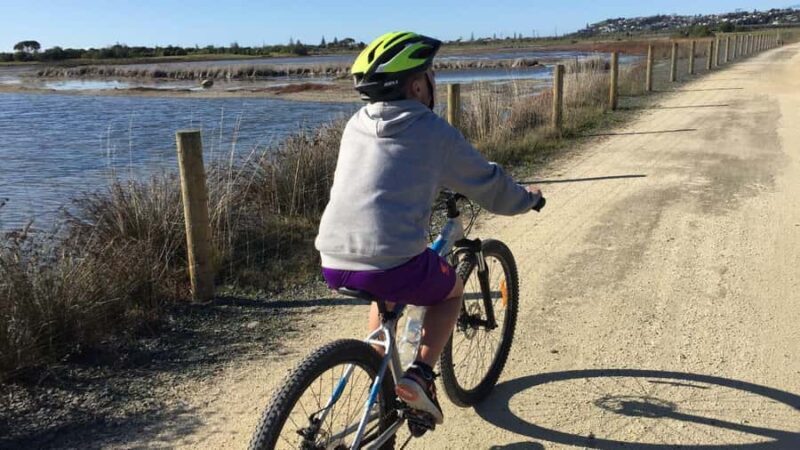 Napier: Art Deco Bike Ride and Wineries Loop - A Deep Dive into the Experience