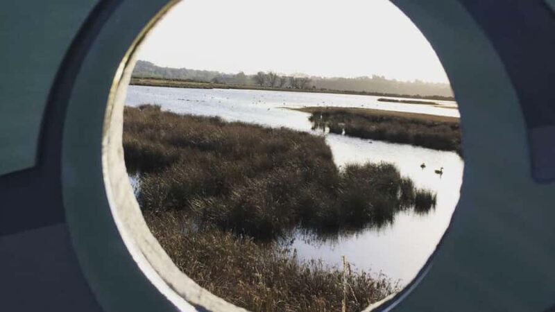 Napier: Art Deco Bike Ride and Wineries Loop - FAQs about the Napier: Art Deco Bike Ride and Wineries Loop