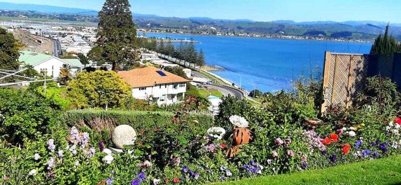 Napier: Art-Deco + Te Mata Peak+ Garden Walk + Wine Tasting - Transportation & Group Size