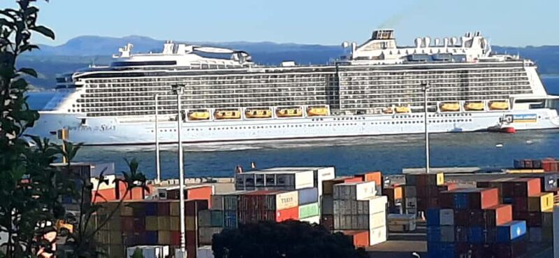 Napier: Art-Deco + Te Mata Peak+ Garden Walk + Wine Tasting - Authentic Experiences & Traveler Feedback