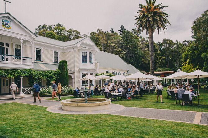 Napier Bike Hire - An Authentic Way to Discover Hawke’s Bay