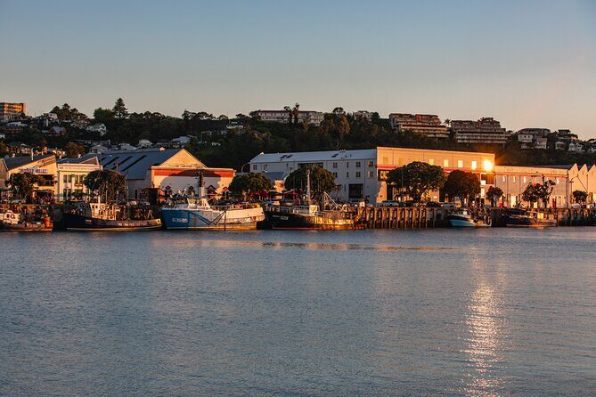 Napier Bike Hire - Authentic Experiences from Fellow Travelers