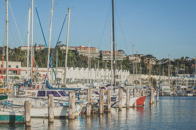 Napier Bike Hire - FAQ