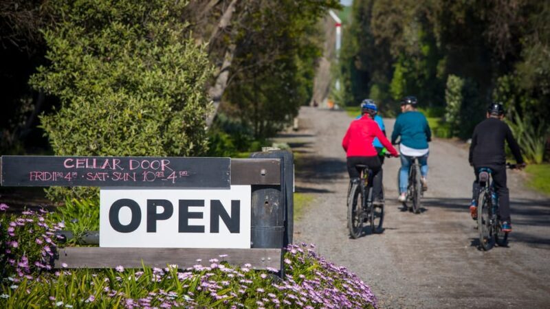 Napier: Cape Coast Winery Tour on E-Bikes - Final Thoughts