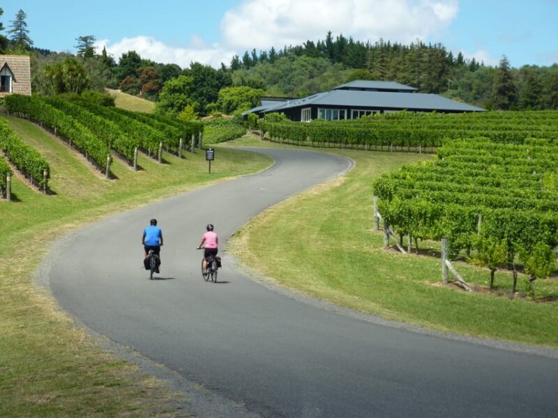 Napier: Cape Coast Winery Tour on Pedal or E-Bikes - An In-Depth Look at the Napier Cape Coast Winery E-Bike Tour