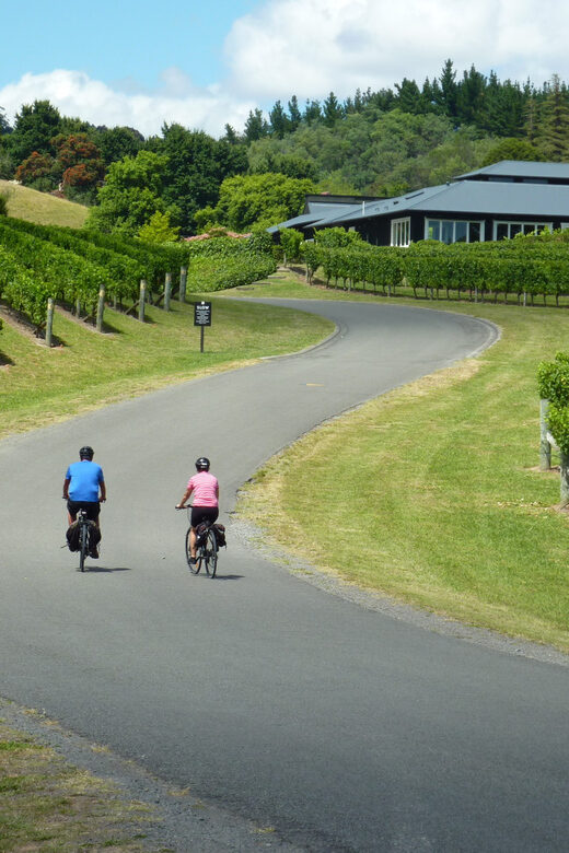 Napier: Cape Coast Winery Tour on Pedal or E-Bikes - Final Thoughts