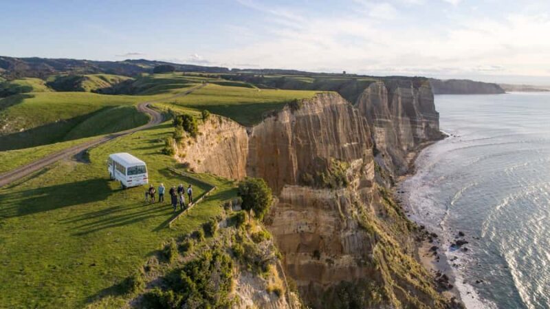 Napier: Cape Kidnappers Gannet, Nature & Sightseeing Tour - Key Points