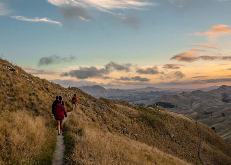 Napier Craggy Range Wine tour with Te Mata Peak summit views - Final Thoughts