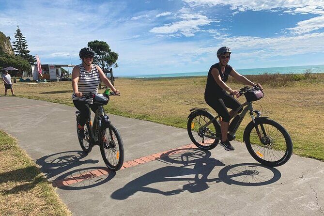 Napier: Cycle to Wineries - Half Day, self-guided - Who Should Consider This Tour?