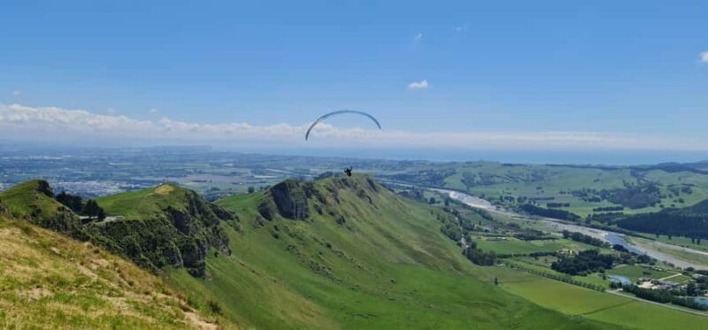 Napier: Highlights & Tour Exploring the Best of this Region - Key Points