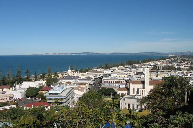 Napier Shore Excursion: City Sights and Hawke's Bay Tour - Key Points