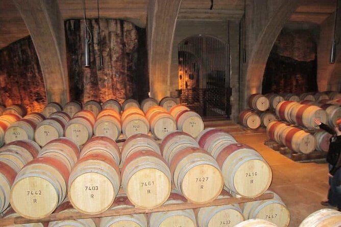 Napier Shore Excursion: Wine & Art Deco Tour - Key Points