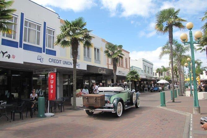 Napier Shore Excursion: Wine & Art Deco Tour - The Sum Up