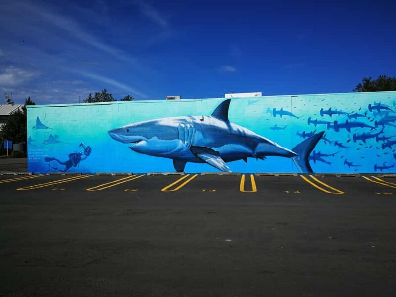 Napier: Shore Excursion with Wine Tasting and Platter - A Deep Dive Into Napier’s Shore Excursion