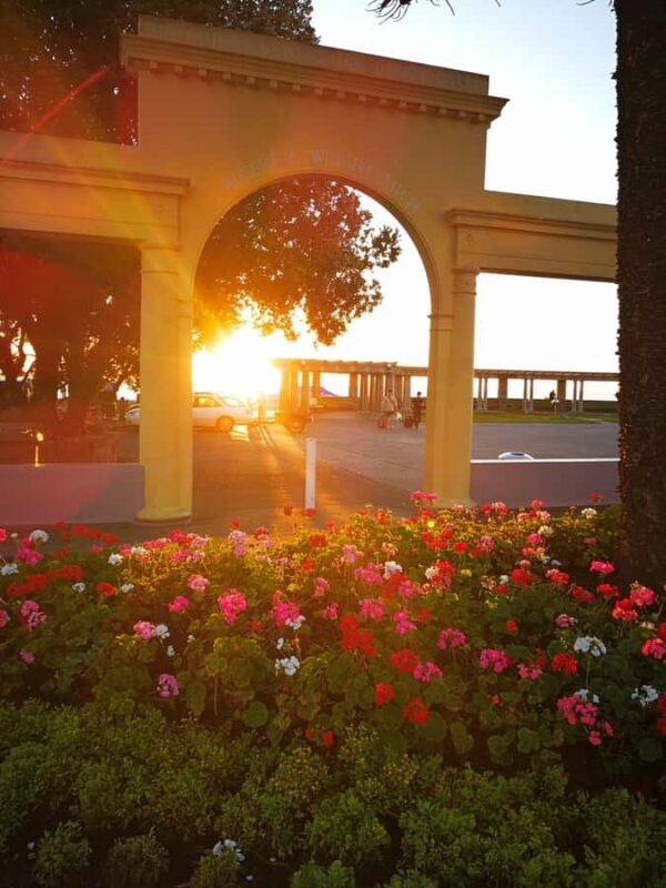 Napier: Shore Excursion with Wine Tasting and Platter - The Sum Up