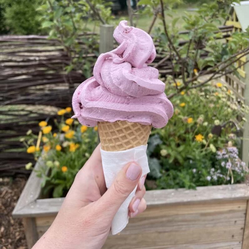 Napier: Taste Hawke's Bay - A sweet treat food tour - The Sum Up