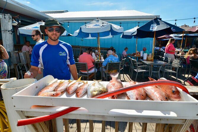 Naples 6 hour Split Charter - Final Thoughts: Is It Worth It?