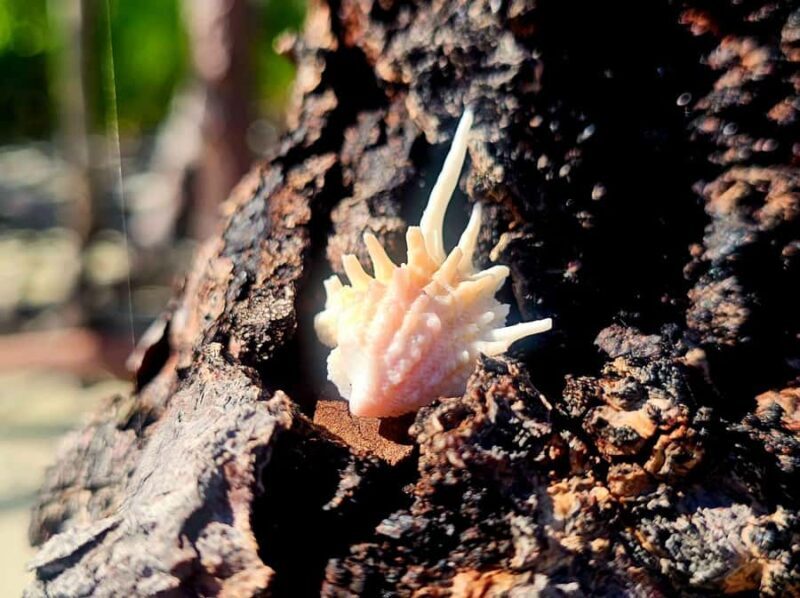 Naples: Bachelorette & Birthday Tiki Boat Tour with BYOB - The Experience from Reviews