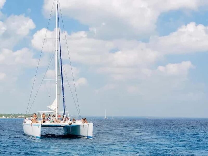 Naples: Catamaran Cruises with Wildlife Views - Key Points