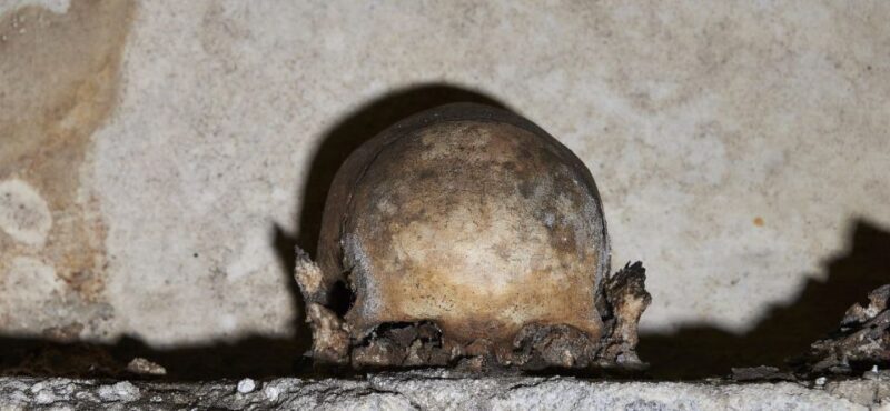 Naples: City and Lapis Museum Tour with an Archaeologist - Final Thoughts: Who Will Love This Tour?