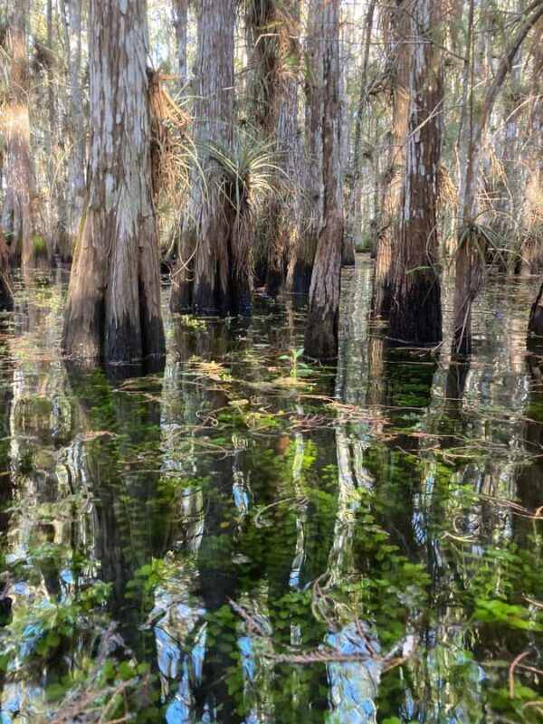 Naples: Everglades w/ a Wet Walk, 2 Boat Trips & Lunch! - FAQ