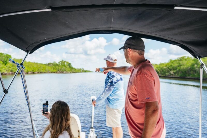 Naples, FL: Manatee Sightseeing and Wildlife Boat Tour - The Wildlife You’re Likely to See