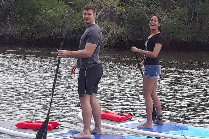 Naples Fl, Paddleboard Mangrove Forest Tour - What to Expect from the Naples Paddleboard Mangrove Forest Tour
