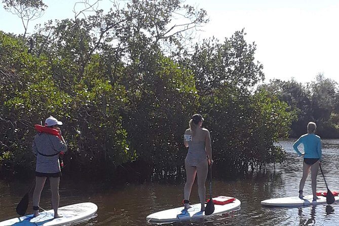 Naples Fl, Paddleboard Mangrove Forest Tour - FAQ