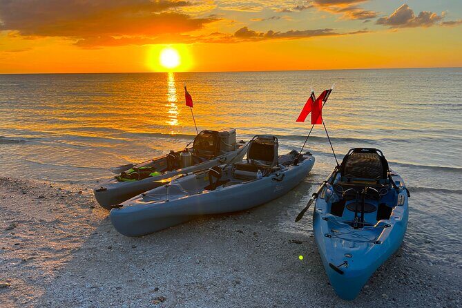 Naples Guided Sunset Kayak Tour Activity - An In-Depth Look at the Sunset Kayak Tour