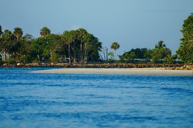 Naples Half-Day Private Eco Tour and Shelling Trip - The Sum Up