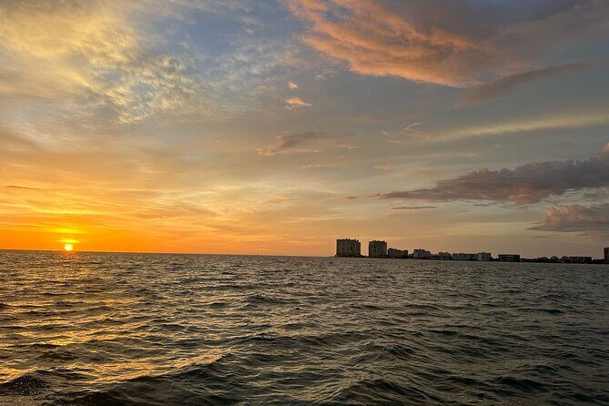 Naples Keewaydin Shelling Dolphin and Beach Tours - Final Thoughts