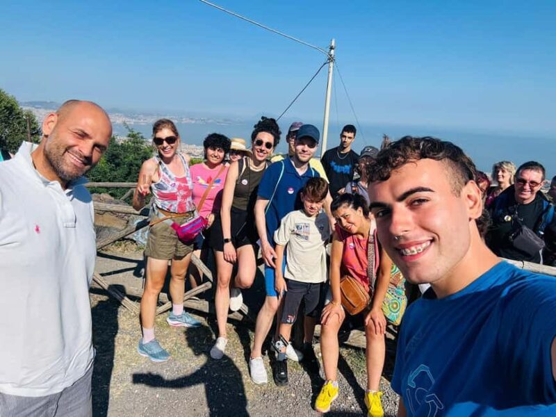 Naples: Mount Vesuvius Entry Ticket and Transfer - What’s Included and What’s Not