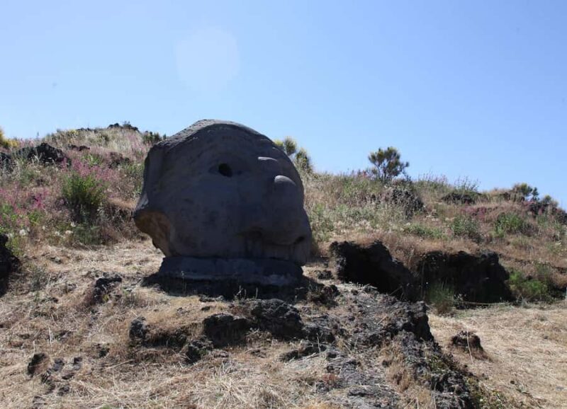 Naples: Mount Vesuvius Entry Ticket and Transfer - The Experience and Reviews