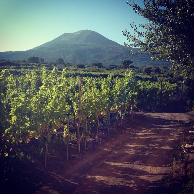 Naples: Mount Vesuvius Vineyard Tour w/ Lunch & Wine Tasting - FAQs