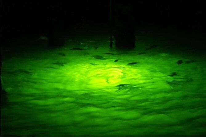 Naples Night Fishing Trips - In The Sum Up: Who’s This Trip Best For?