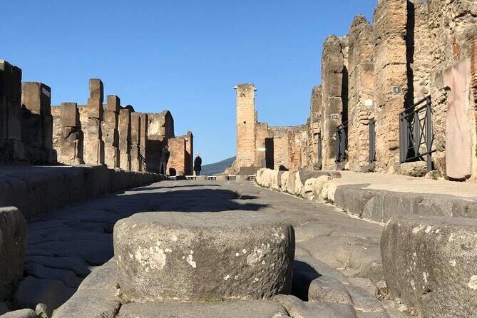 Naples port tour Sorrento and pompeii and overview of positano - The Itinerary in Detail
