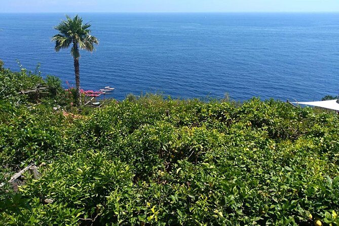 Naples port tour Sorrento and pompeii and overview of positano - Final Thoughts
