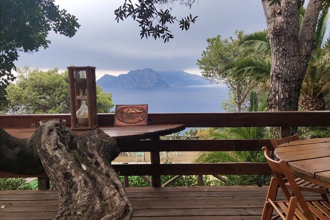 Naples port tour Sorrento and pompeii and overview of positano - Who Is This Tour Best For?