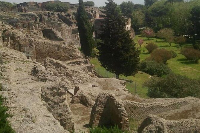 Naples Shore Excursion: Pompeii Half Day Trip from Naples - FAQs