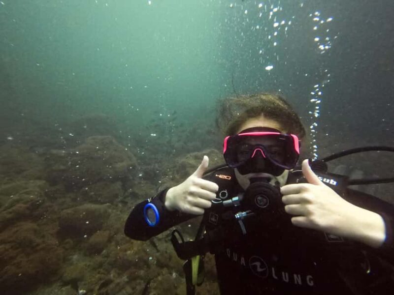 Napoli: Dive or Discover Scuba Diving in the Park of Baia - The Sum Up