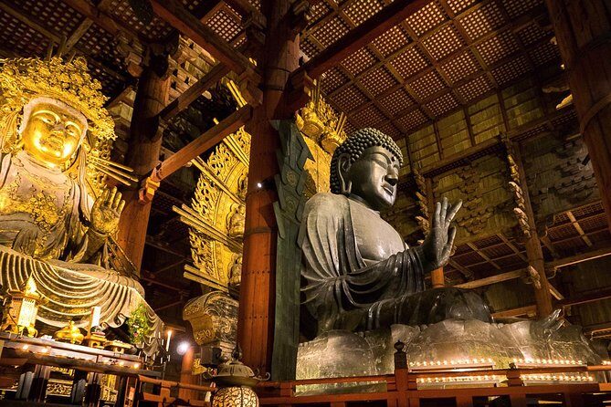 Nara 6hr Private Tour with Government-Licensed Guide - The Heart of Nara: An In-Depth Look at the Itinerary