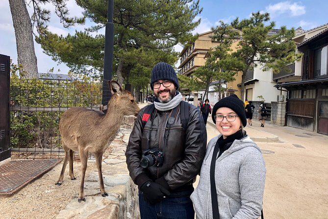 Nara 6hr Private Tour with Government-Licensed Guide - Who Would Love This Tour?