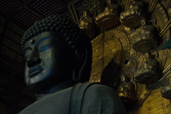 NARA and KYOTO 1 Day Bus Tour - Key Points