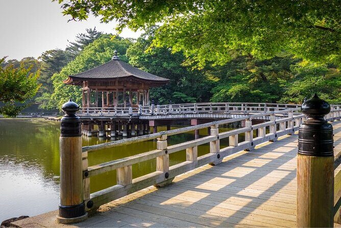 Nara Day Trip from Kyoto with a Local: Private & Personalized - Nara Deer in Nara-koen Park