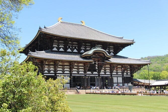 Nara Day Trip from Osaka with a Licensed Guide - The Sum Up