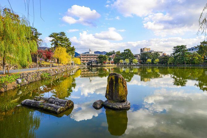 Nara Day Trip from Osaka with a Local: Private & Personalized - Final Thoughts