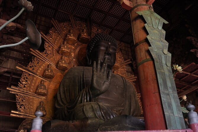 Nara Early Bird Tour (Osaka Departure Option) - Why Choose the Nara Early Bird Tour?