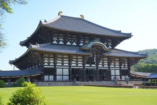 Nara Early Bird Tour (Osaka Departure Option) - Practical Details & What to Expect