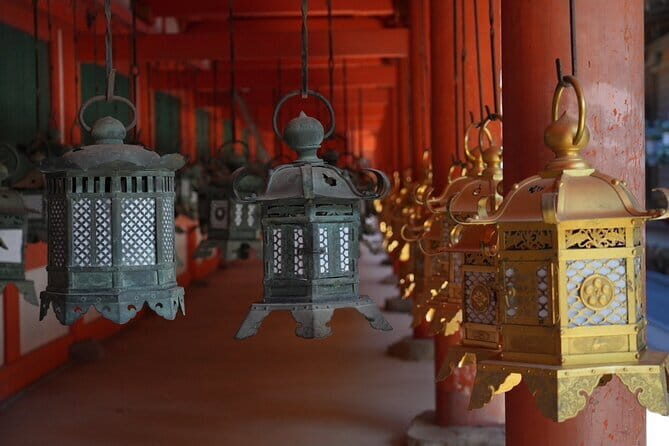 Nara Early Bird Tour (Osaka Departure Option) - The Sum Up: Who Is This Tour Best For?