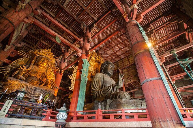Nara Half Day Walking Tour - Why This Tour Offers Good Value